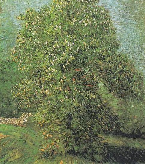 Vincent Van Gogh Blossoming Chestnut Tree Spain oil painting art